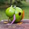 Glitzhome® 9" Metal Glossy Frog Outdoor Garden Birdhouse